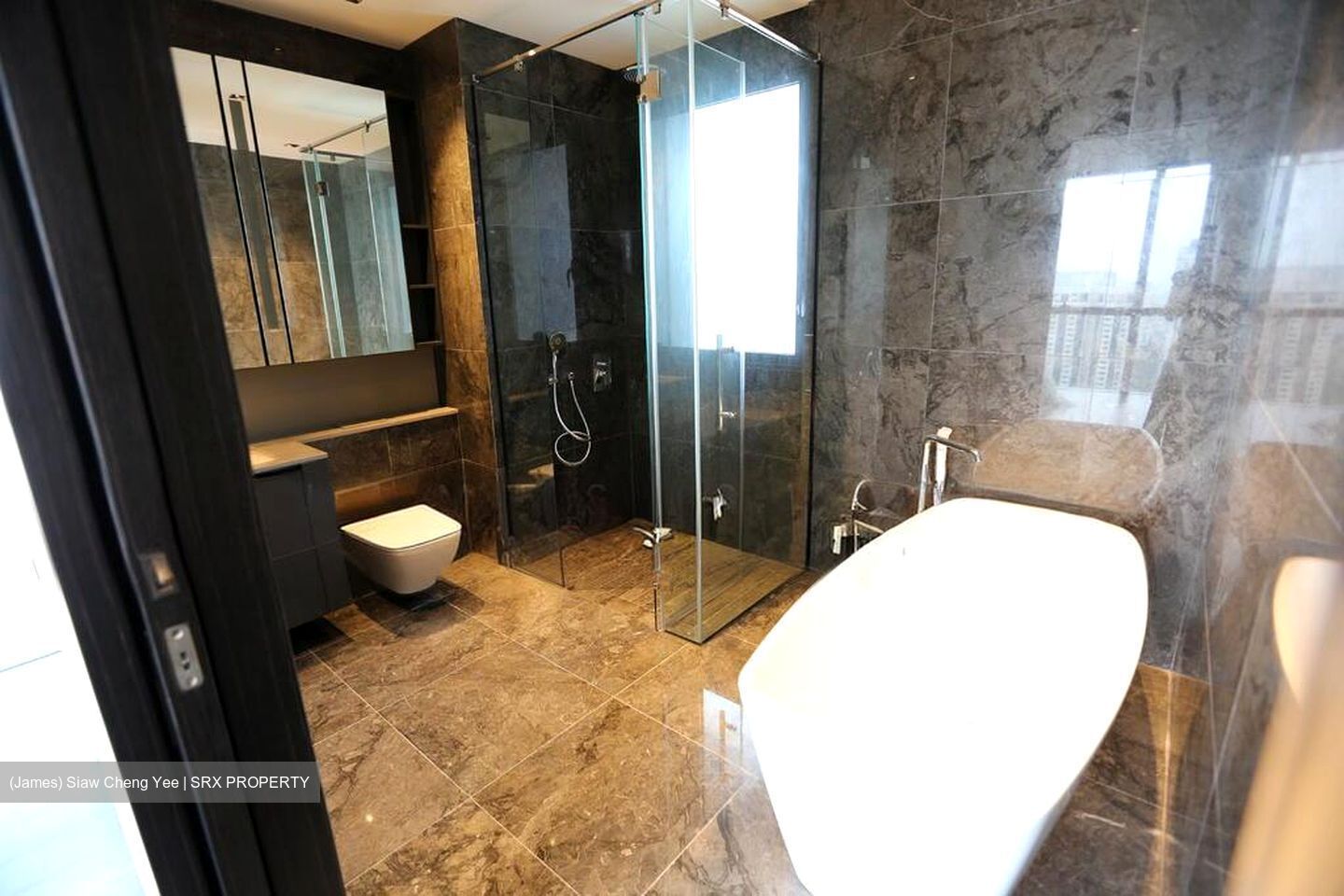3 Cuscaden (D10), Apartment #597671711